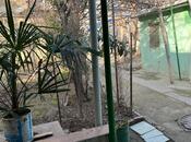 Продаётся  участок 5.2 сот, м. 20 января, photo 3 from 3