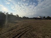 Продаётся  участок 72 сот, пос. Шувеляны, photo 6 from 8