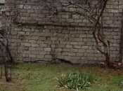 Satılır  qaraj 1.3 m², Badamdar q., photo 8 from 8