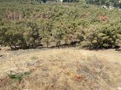 Satılır  torpaq 6 sot, Elmlər Akademiyası m., photo 2 from 3