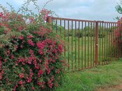 Elan №5815420 - Zaqatala, Zaqatala, 150 sot