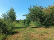 Satılır  torpaq 150 sot, photo 7 from 8