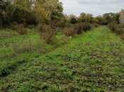 Elan №5815594 - Xudat, Xudat, 36 sot