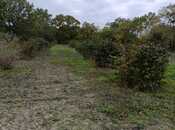 Продаётся  участок 36 сот, photo 2 from 2