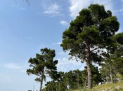 Объявление №5816458 - Баку, Насиминский  р., 10 сот