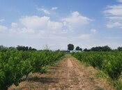 Satılır  torpaq 500 sot, photo 5 from 8