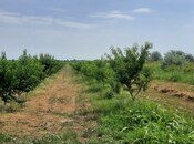 Elan №5816688 - Xudat, Xudat, 500 sot