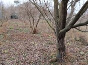 Satılır  torpaq 6 sot, photo 5 from 6