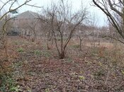 Satılır  torpaq 6 sot, photo 6 from 6