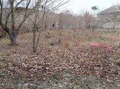 Satılır  torpaq 6 sot, photo 3 from 6