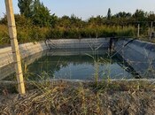 Продаётся  участок 200 сот, Хачмазский р., photo 8 from 8