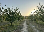 Продаётся  участок 200 сот, Хачмазский р., photo 4 from 8