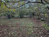 Satılır  torpaq 10 sot, Nabran r., photo 2 from 4