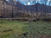 Elan №5817463 - Oğuz, Oğuz, 9 sot