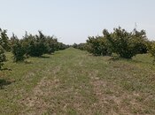 Продаётся  участок 120 сот, photo 7 from 8