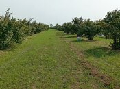 Продаётся  участок 120 сот, photo 2 from 8