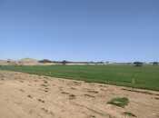 Объявление №5818499 - Баку, пос. Кюрдаханы, 300 сот