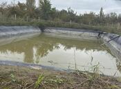 Satılır  torpaq 200 sot, Xaçmaz r., photo 7 from 8