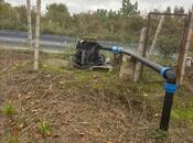 Satılır  torpaq 200 sot, Xaçmaz r., photo 6 from 8