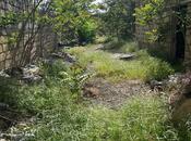 Объявление №5818659 - Баку, Наримановский  р., 14 сот