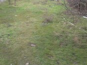 Продаётся  участок 200 сот, пос. Кюрдаханы, photo 4 from 5