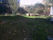 Продаётся  участок 200 сот, пос. Кюрдаханы, photo 5 from 5