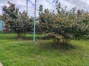 Продаётся 8-комн. дом/дача 300 м², Хачмазский р., photo 4 from 8