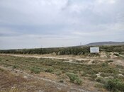 Elan №5820649 - Bakı, Ələt q., 300 sot