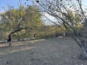 Satılır  torpaq 3 sot, photo 3 from 4