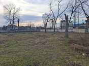 Объявление №5821392 - Ленкорань, Ленкорань, 50 сот