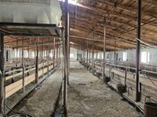 Satılır  obyekt 3 000 m², photo 4 from 8