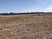 Satılır  torpaq 100 sot, Qobu q., photo 3 from 8