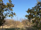 Satılır  torpaq 33 sot, Novxanı q., photo 5 from 8