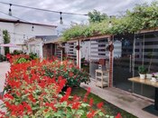 Elan №5785574 - Zaqatala, Zaqatala, 490 m²