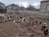 Satılır  torpaq 3 sot, Yeni Ramana q., photo 4 from 6