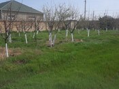 Объявление №5823070 - Баку, пос. Горадил, 16 сот