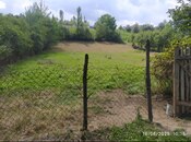 Объявление №5823114 - Гусар, Гусар, 24 сот