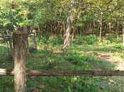 Продаётся  участок 1 500 сот, photo 5 from 5