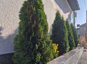 Satılır 7 otaqlı həyət evi/bağ evi 450 m², Badamdar q., photo 6 from 8