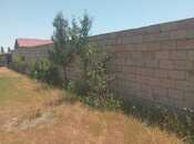 Объявление №5823823 - Ленкорань, Ленкорань, 6 сот