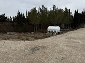 Satılır  torpaq 13 sot, Şüvəlan q., photo 5 from 8