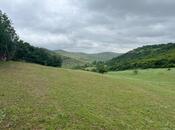 Elan №5824327 - Şabran, Şabran, 12 sot