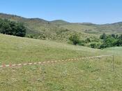 Продаётся  участок 12 сот, photo 8 from 8