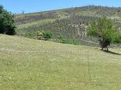 Продаётся  участок 12 сот, photo 7 from 8