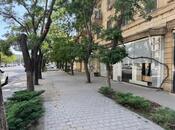 Elan №5824933 - Bakı, Elmlər Akademiyası m., 250 m²