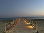 Продаётся  участок 100 сот, пос. Зире, photo 2 from 8