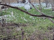 Satılır  torpaq 6 sot, Qaraçuxur q., photo 2 from 6