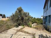 Продаётся  участок 73 сот, пос. Шувеляны, photo 5 from 8