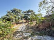 Продаётся  участок 73 сот, пос. Шувеляны, photo 7 from 8