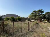 Продаётся  участок 73 сот, пос. Шувеляны, photo 6 from 8